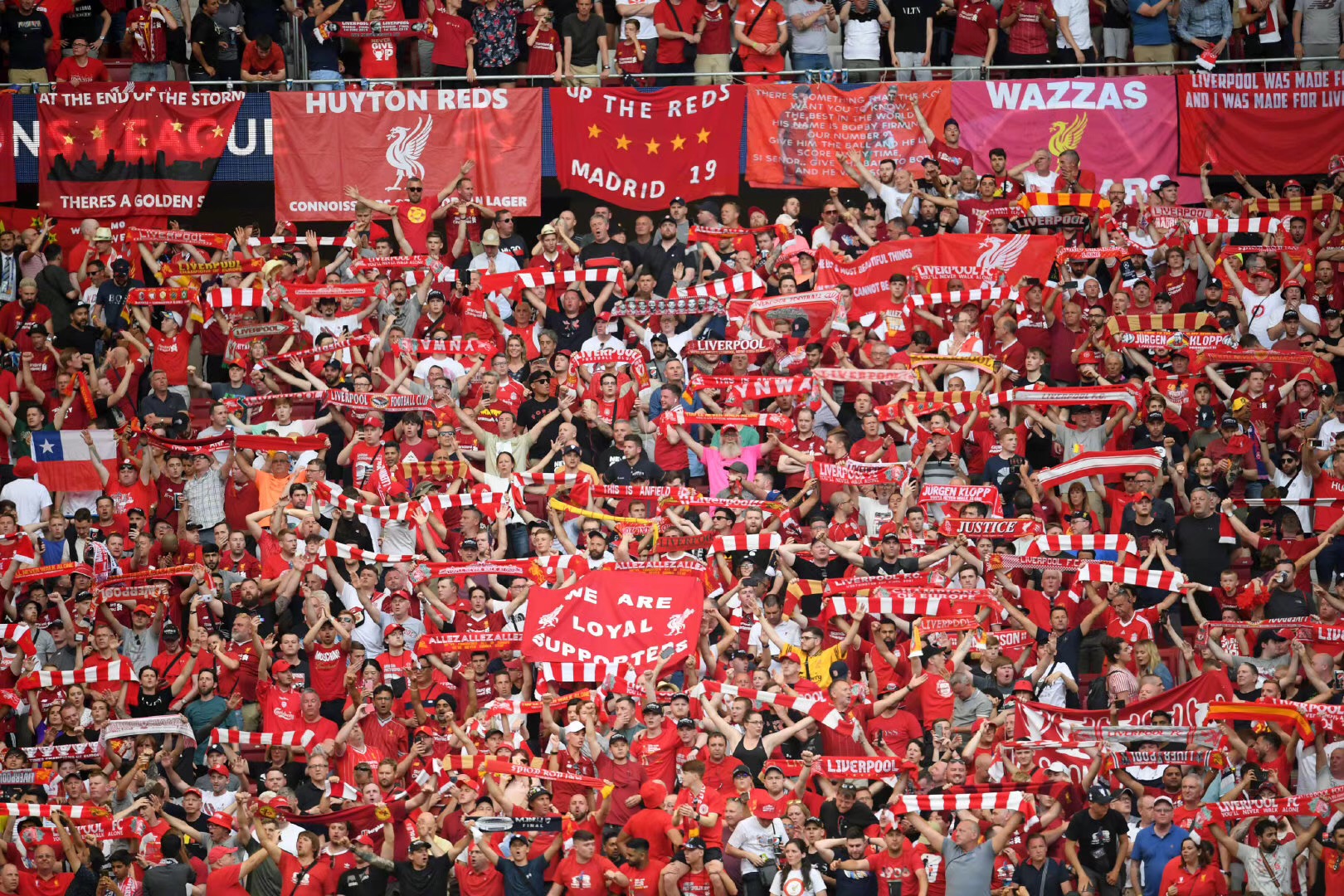 阵容厚度可 阵容厚度可