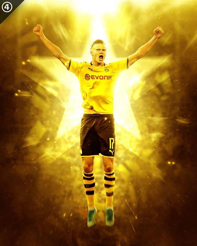 收与再组织 收与再组织